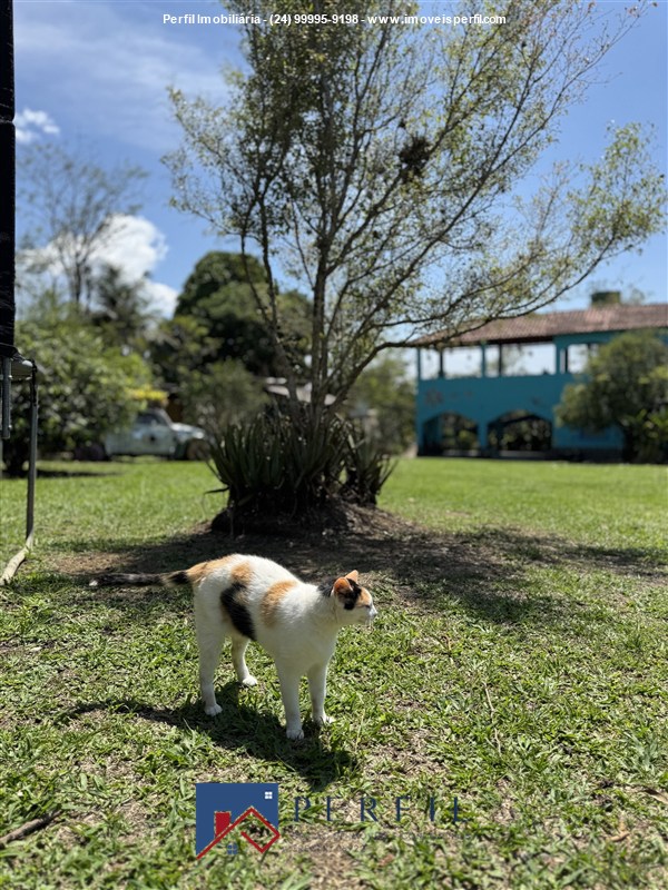 Casa para Alugar no Penedo em Itatiaia - Foto do Imvel